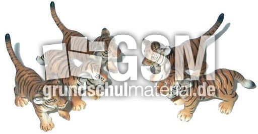 Tiger-3+2.jpg
